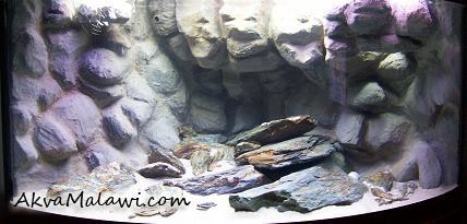 Tanganyicka Jeskyně . Rohové akva 410 L