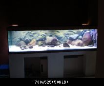 akvárium - celkový pohled