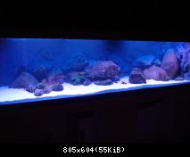 akvárium 1800L - stmívání
